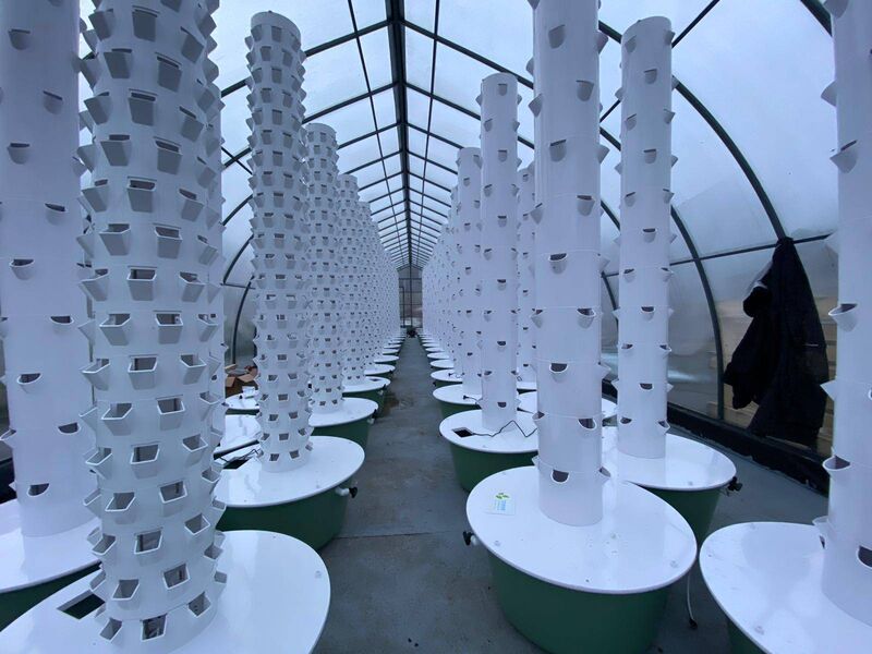 Green Towers at the Cork Rooftop Farm. Green Towers at the Cork Rooftop Farm.