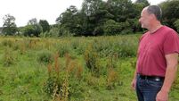 Calls for city council to purchase former hotel site and turn it into a regional park