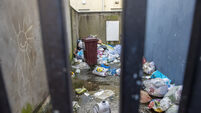 Cork communities clean up but the dumpers return: 'It's very frustrating'