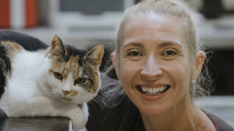 Life as a feline vet is the cat’s whiskers