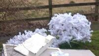 Christmas trees and other rubbish dumped in scenic Cork spot 