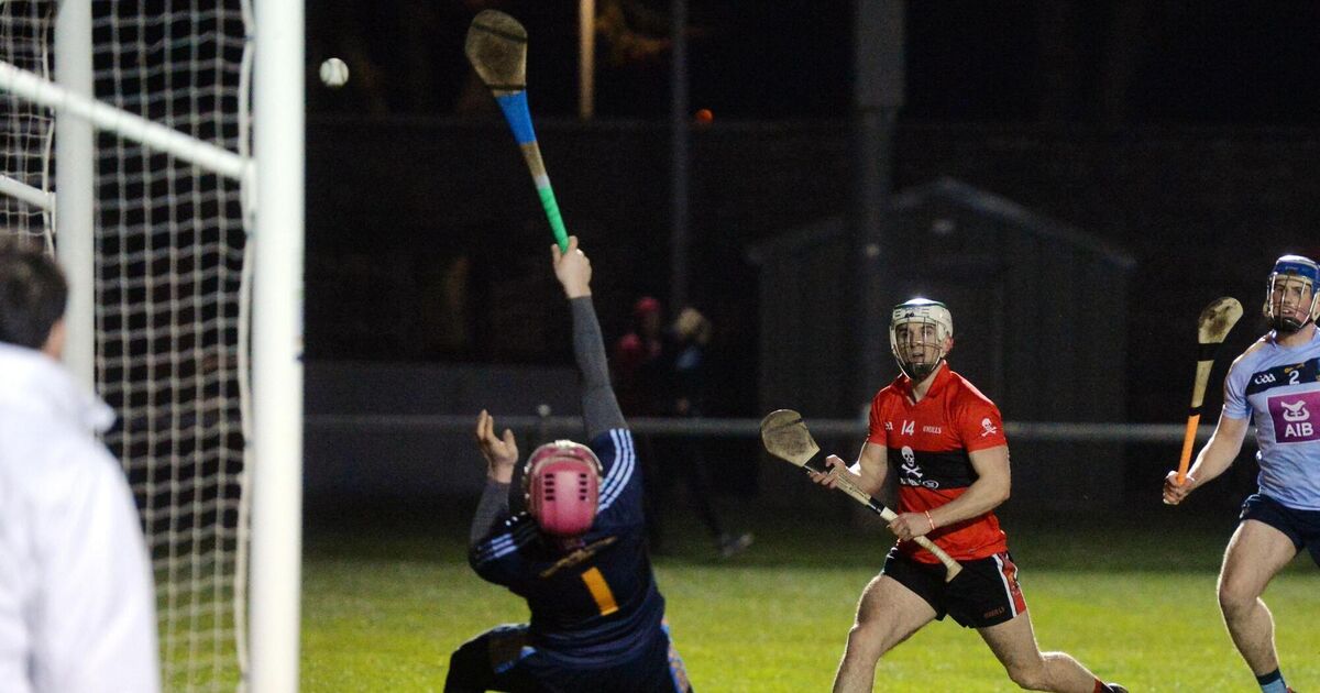 Kingston goal sends UCC hurlers on their way to the Fitzgibbon Cup last four
