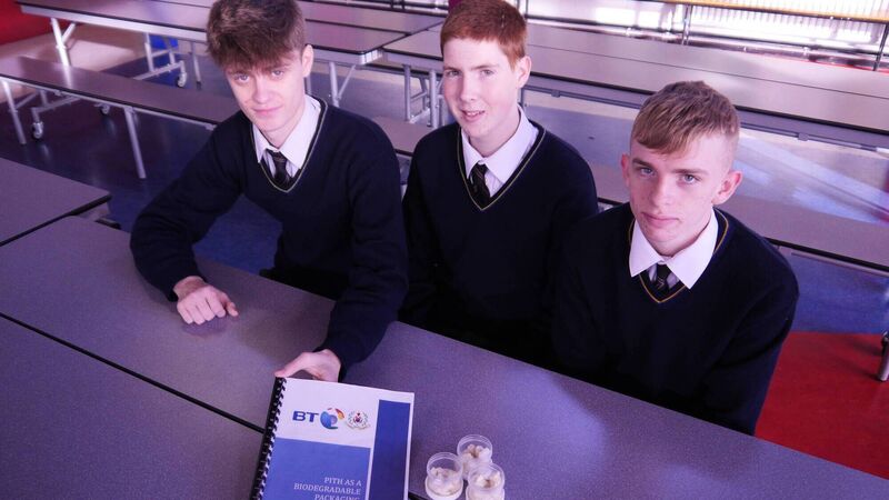 Cork pupils put environment first with Young Scientist project Cork pupils put environment first with Young Scientist project