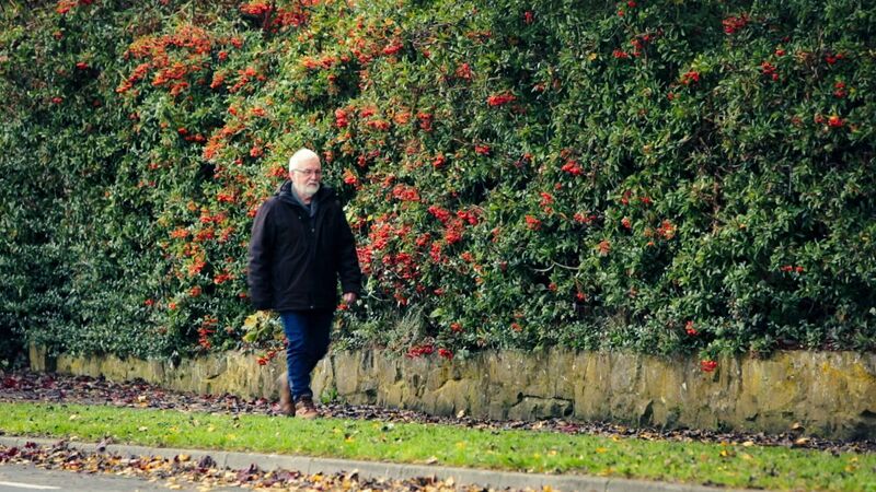Dementia series: What are the signs you have dementia?