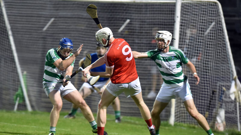 Blarney have the right mix to secure spot in Premier Intermediate Hurling semi