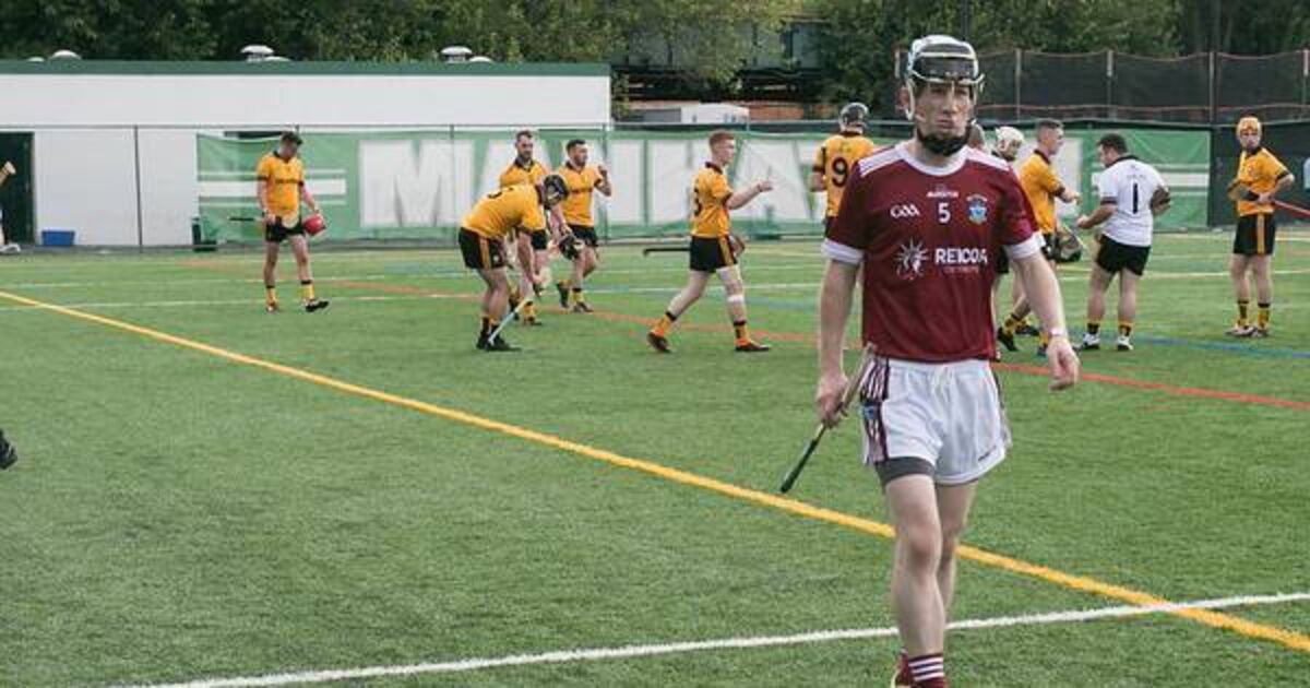West Cork native Eoin Deasy does his bit for Westmeath hurling in the