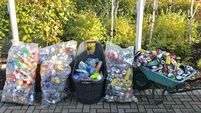 Illegal dumping scourge in Cork town: 830 discarded bottles and cans found