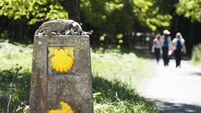 Way of St James shell  and arrow  marks