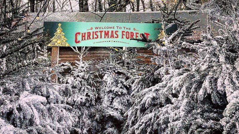 Fota boss speaks out about ticketing fiasco for Christmas wonderland event