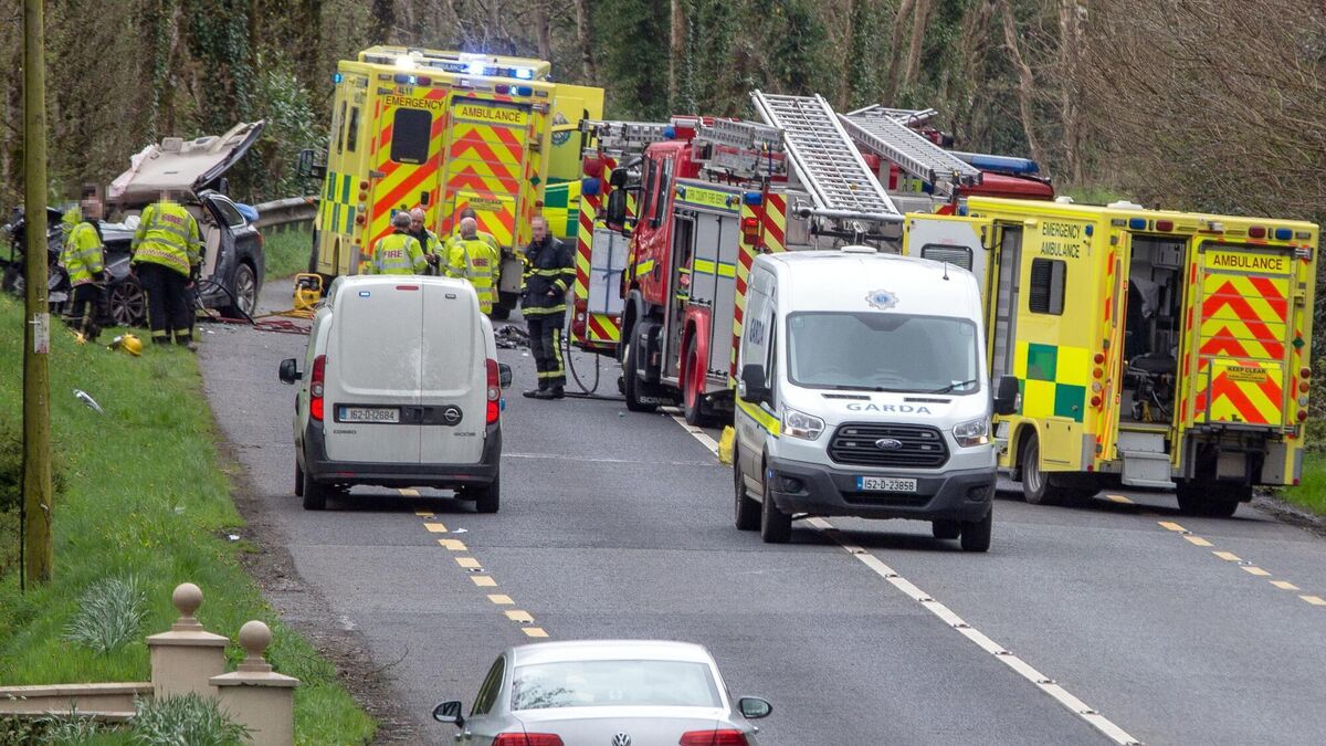 County Engineer: 'Cork to Kerry N22 most dangerous road in the country'