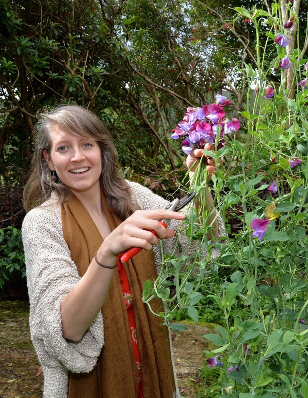 Kloë Wood, co-founder of Two Green Shoots and co-creator of the Garden of Re-Imagination near Glengarriff, Co. Cork, collecting a posy of cupani sweet pea. Picture: Denis Minihane