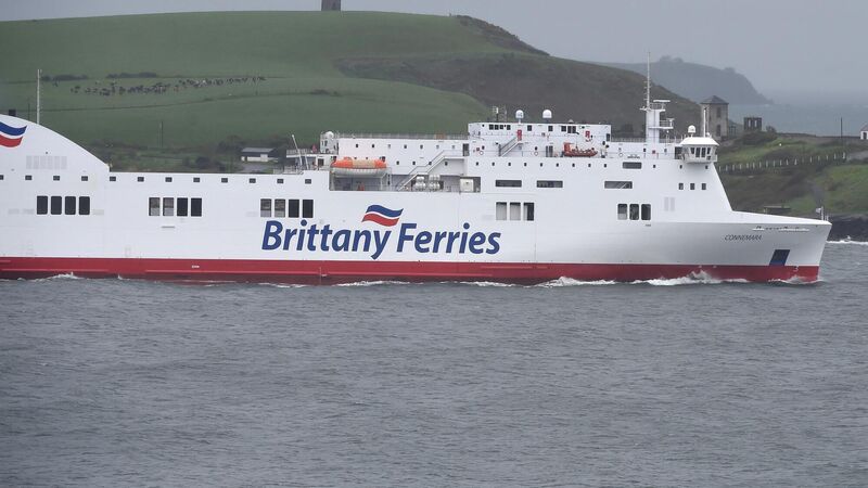 Travel chief says passengers must be looked after following ferry cancellations