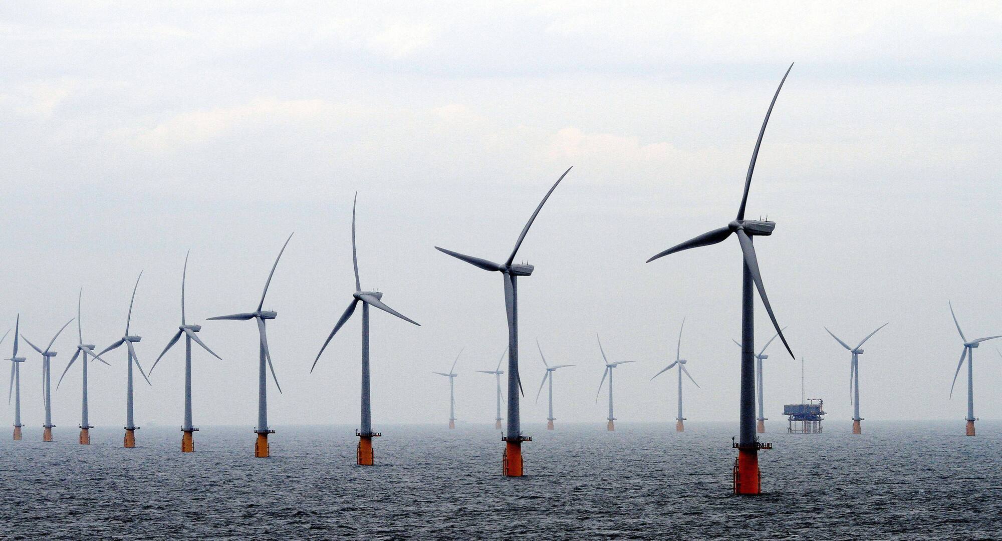 The largest wind energy project in Ireland is being proposed off the