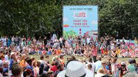 Entertainment extravaganza in Fitzgerald Park this weekend