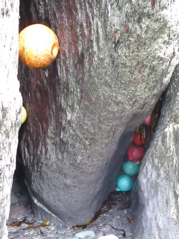 Plastic rubbish stuck in clifffs. Picture: Bernadette Tuite.Cleaning up Rubbish tomb at Galley Head. Picture: Bernadette Tuite.