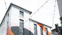 New mural rejuvenates an old ESB substation in the centre of Cork city 