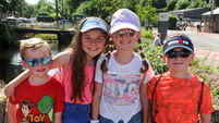 Gallery: Sun shines on annual Lee Swim 