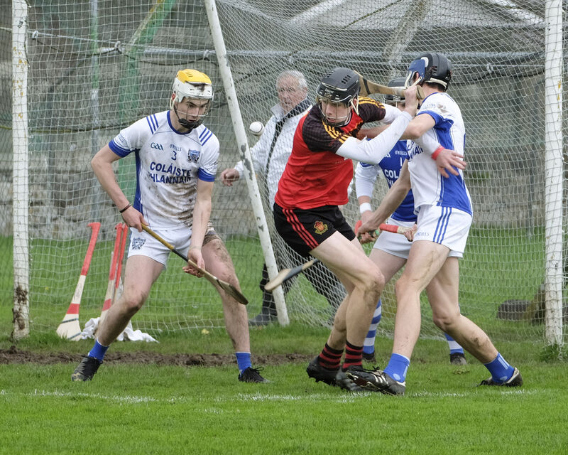 Picture: Don Moloney/Press 22 Picture: Don Moloney/Press 22