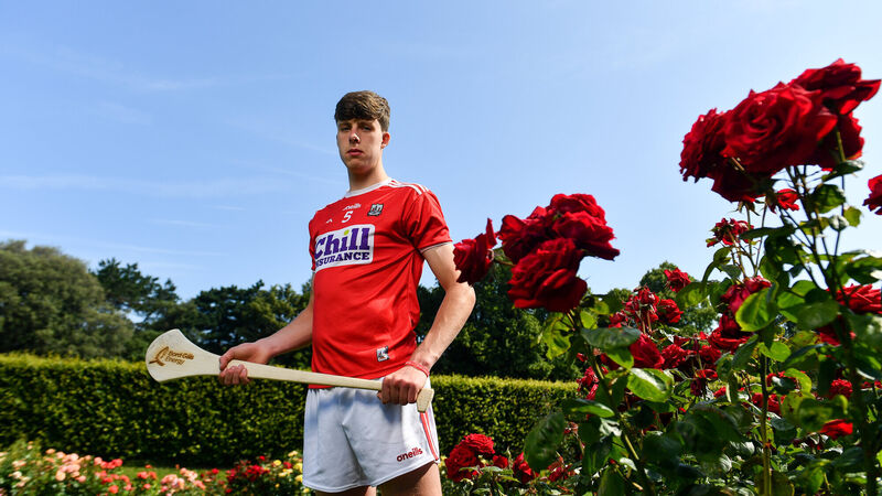 The big interview with Robert Downey: You've pucked a hundred big games for Cork against the wall before you ever pull on the jersey The big interview with Robert Downey: You've pucked a hundred big games for Cork against the wall before you ever pull on the jersey