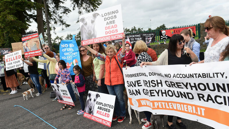 Further protests planned against Ireland's greyhound industry Further protests planned against Ireland's greyhound industry