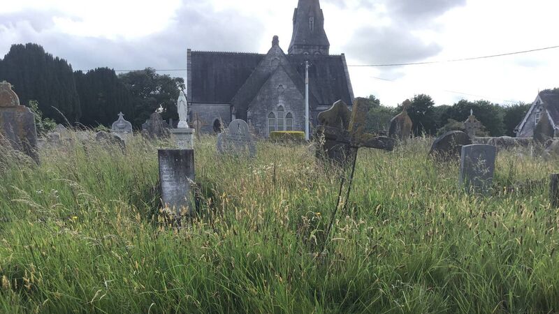 City Hall urged to tackle overgrown Douglas cemetery 