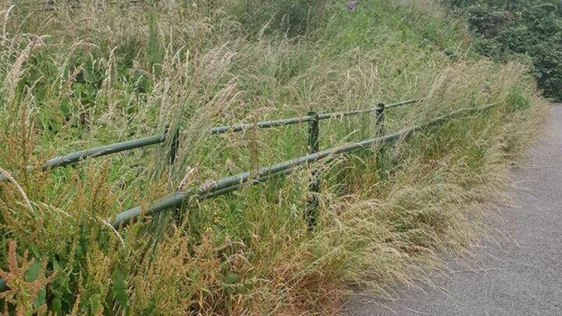 Northside park is the 'worst kept' in the city Northside park is the 'worst kept' in the city