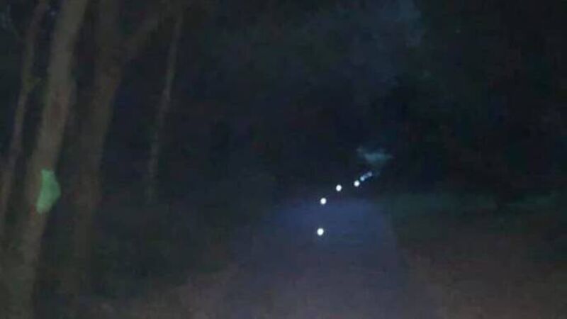 Council will not restore greenway spotlights destroyed by 'mindless vandalism'