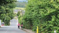 Contractors sought to eradicate knotweed and other invasive plants in Cork