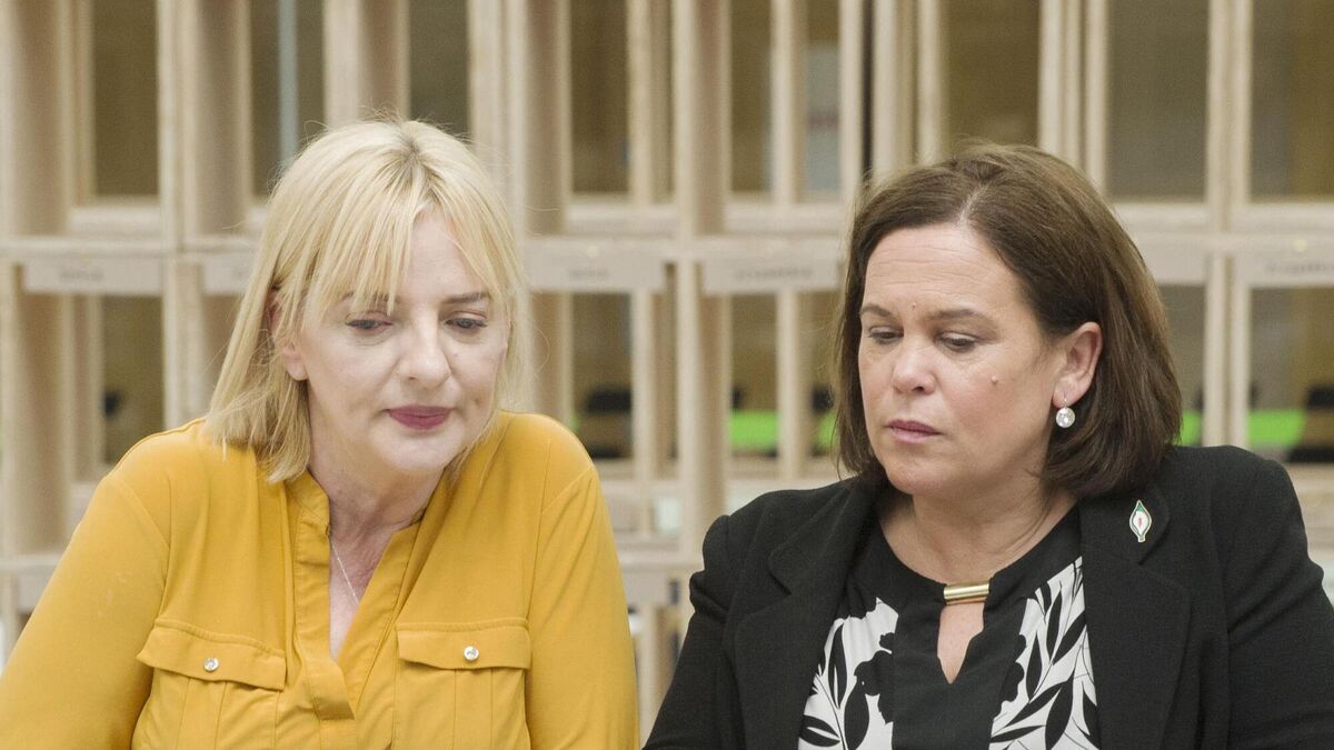 Liadh Ní Riada withdraws request for Ireland South recount and concedes defeat 