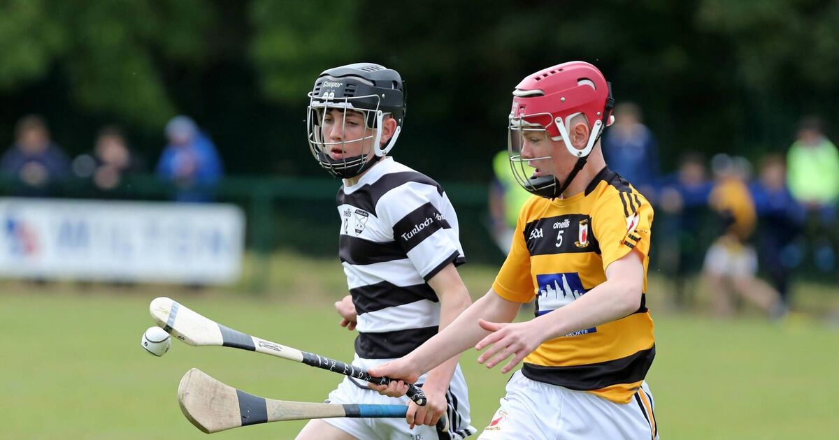 Féile roundup Cork teams fly the Rebel flag in hurling and camogie finals