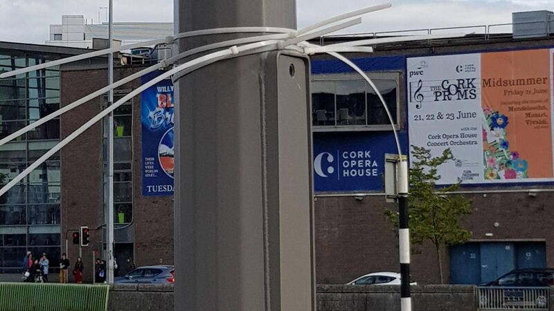 Renewed call for election poster bans as Cork city and county is littered with leftover cable ties