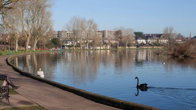 Planning granted for 419-bed student apartments overlooking The Lough Planning granted for 419-bed student apartments overlooking The Lough