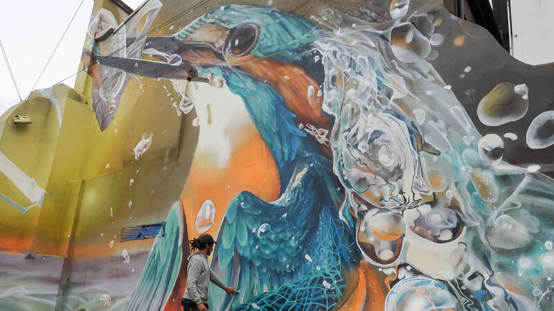 Mural projects to enhance Cork City