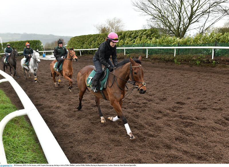 Picture: Matt Browne/Sportsfile Picture: Matt Browne/Sportsfile