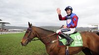 Cork jockey gets first Cheltenham win in 10 years