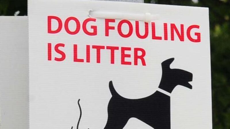 Creative ideas needed to tackle Cork's dog fouling scourge