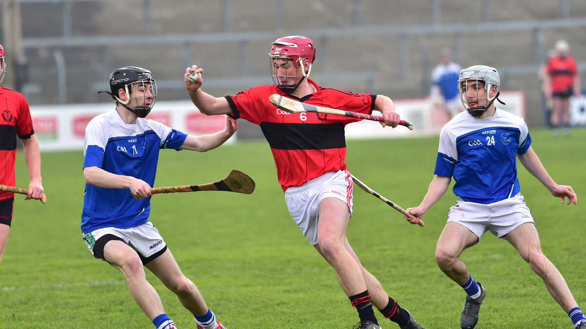 Lesbian videolar HD onlayn