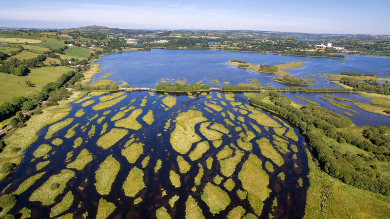 Make The Gearagh woodlands a world heritage site