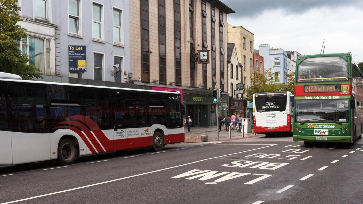 Micheál Martin wants city car ban adjusted