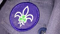 Scouts asked to hand notes over to gardaí