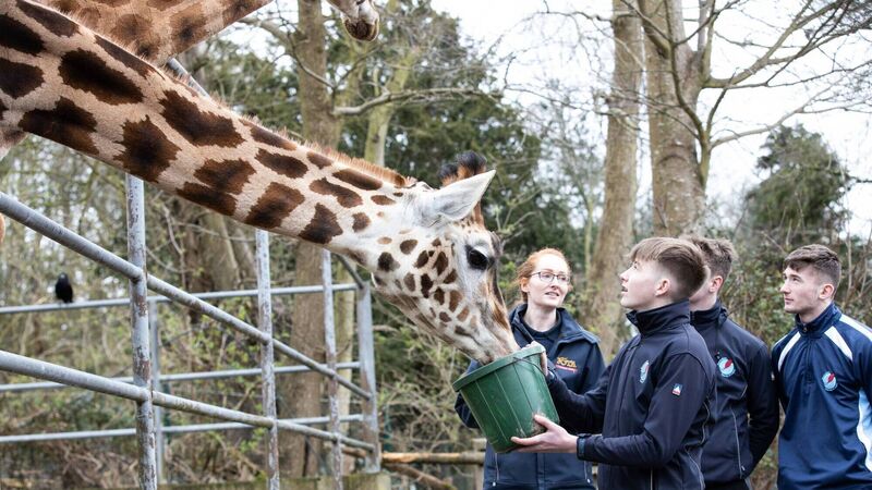 Record-breaking 16,500 students attend Fota education programme