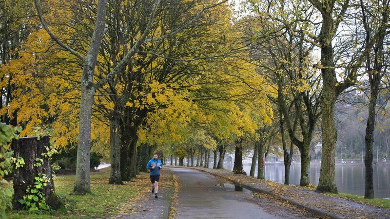 Vehicle ban on the agenda for The Marina but City Hall is divided on the plan