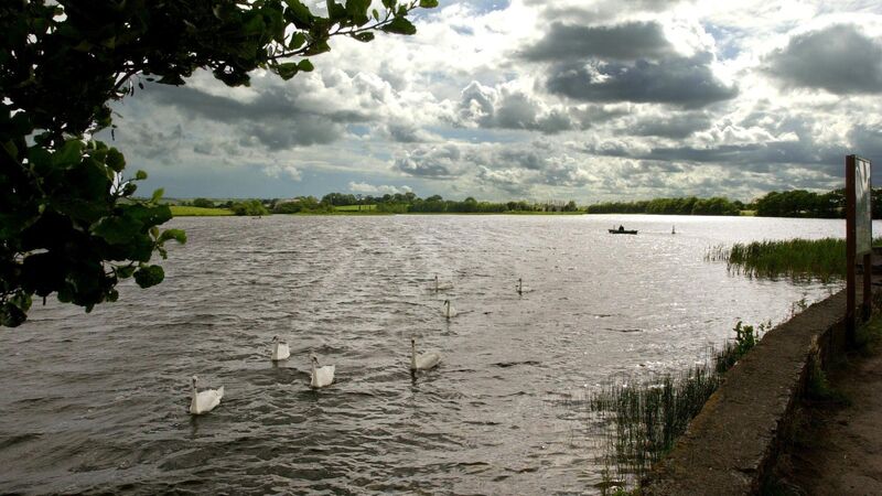 Septic tanks polluting water at Loughaderra Lake