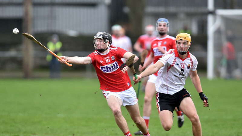 Good workout for an experimental Cork line-up against UCC in the Canon O'Brien Cup Good workout for an experimental Cork line-up against UCC in the Canon O'Brien Cup