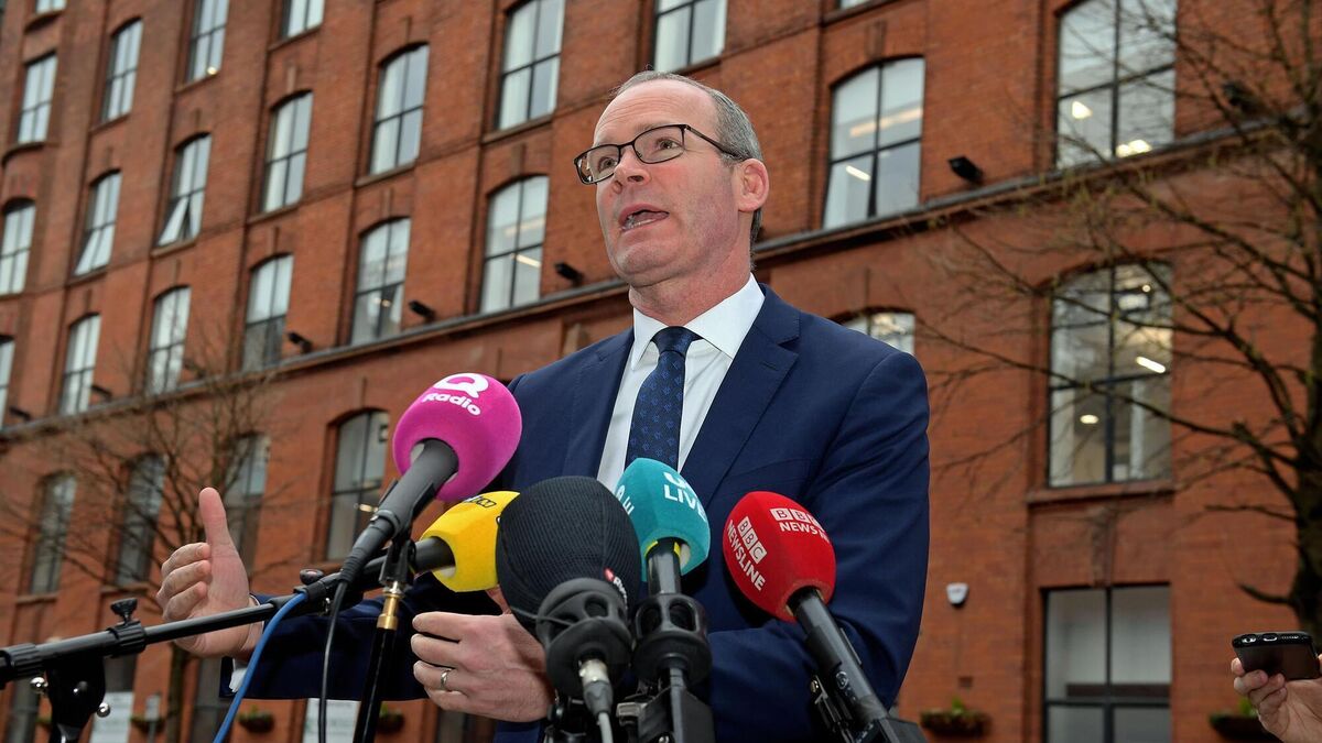 Simon Coveney: Ireland is preparing for the worst