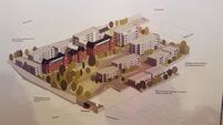 Residents can't risk €100k judicial review costs to fight housing project at Good Shepherd Convent site