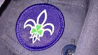 Gardaí expecting more scouting abuse reports in the coming weeks