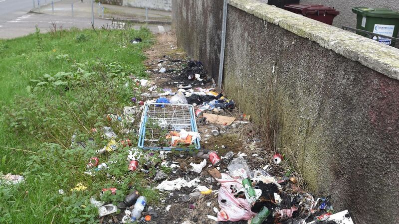 Killala Gardens illegal dumping in the area. Picture Dan Linehan