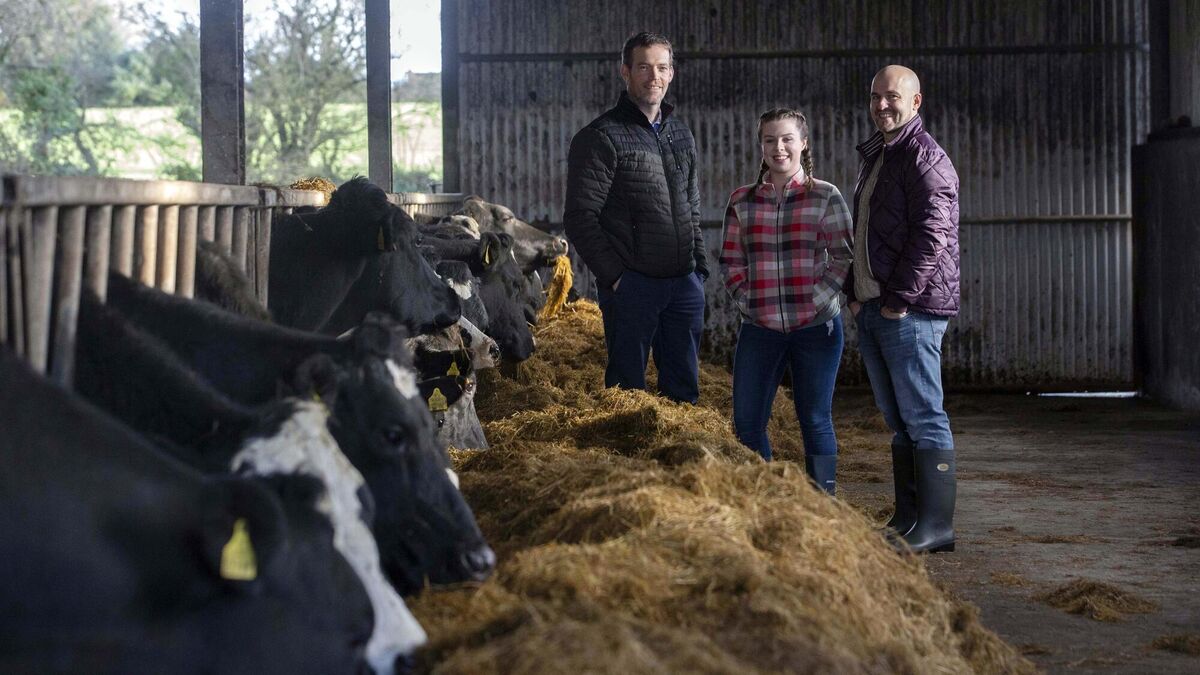 Market Lane launches €3,000 culinary bursary