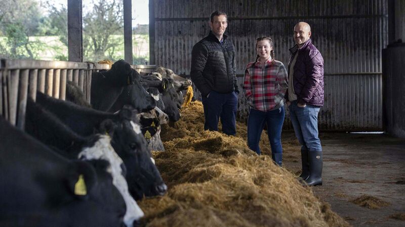 Market Lane launches €3,000 culinary bursary Market Lane launches €3,000 culinary bursary